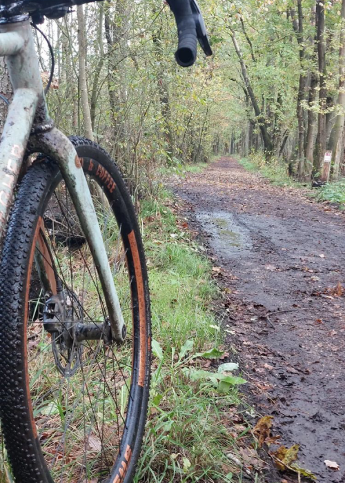 Handgespaakte Wielen België SWS Wheels DT Swiss Gravel